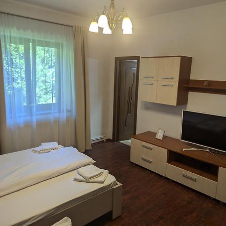 Casa Alex Villa Văliug Eksteriør billede