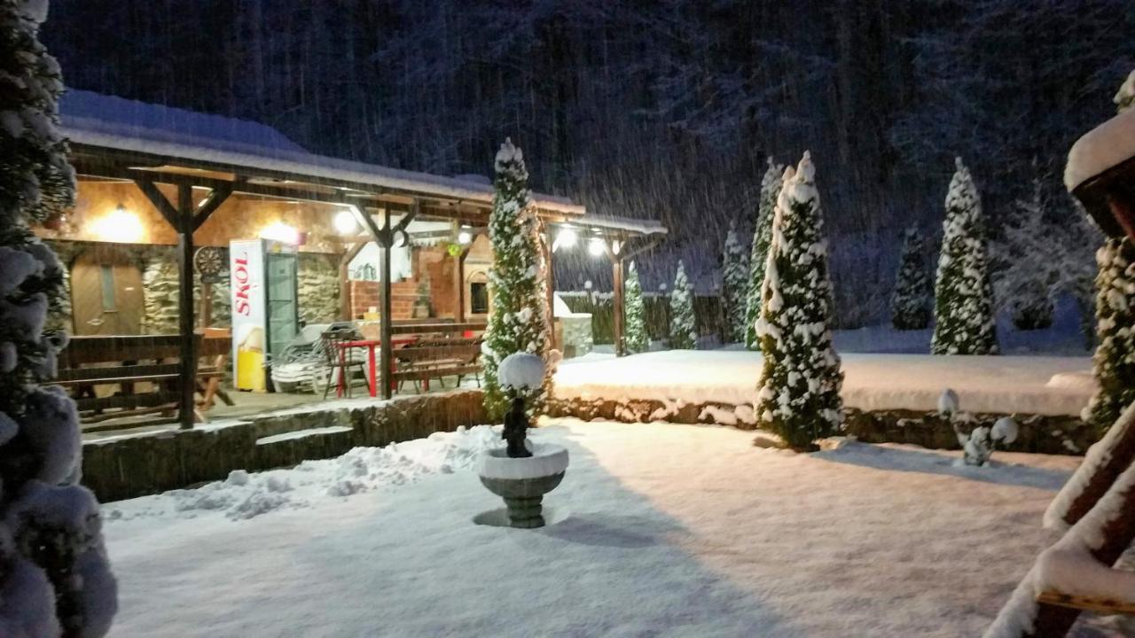 Casa Alex Villa Văliug Eksteriør billede