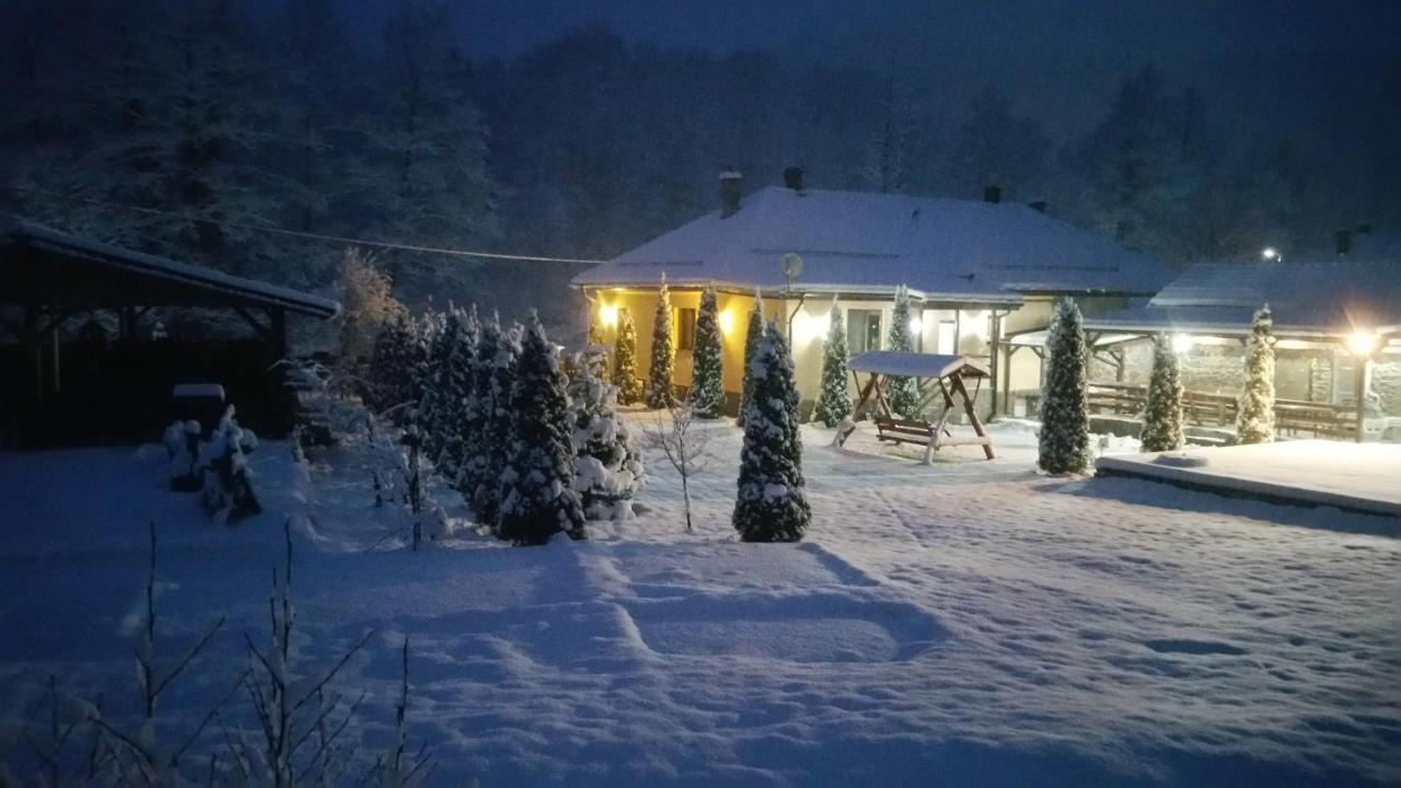 Casa Alex Villa Văliug Eksteriør billede