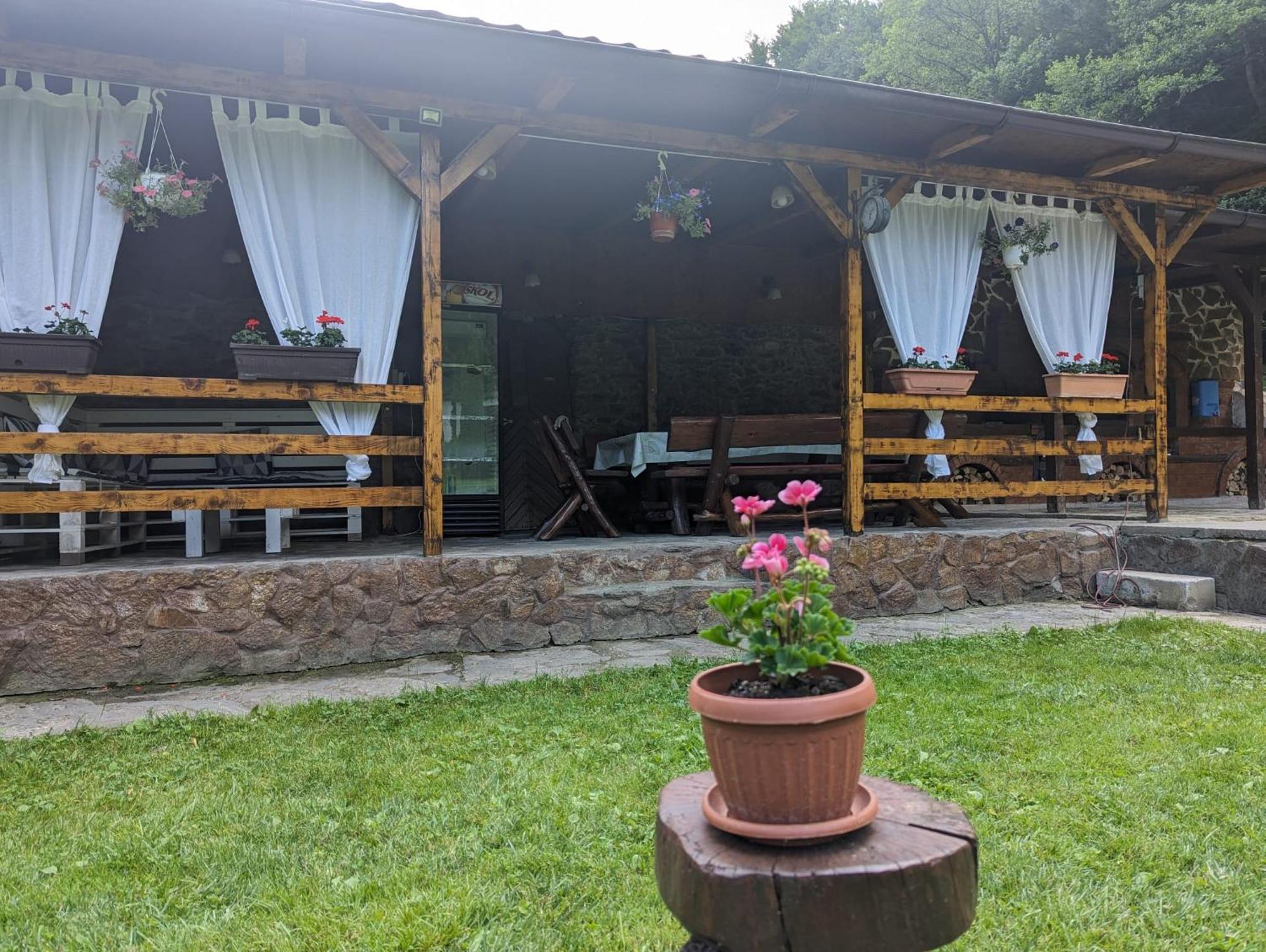 Casa Alex Villa Văliug Eksteriør billede