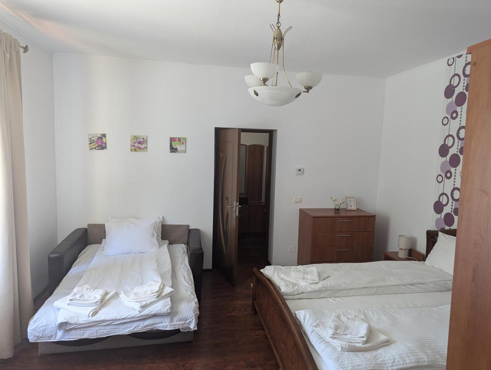 Casa Alex Villa Văliug Eksteriør billede